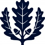 UConn oak leaf